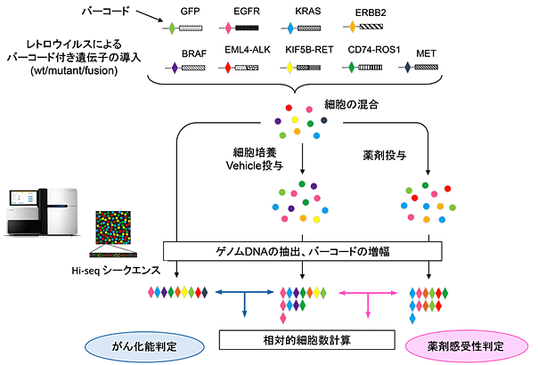 図1_MANO法の概要