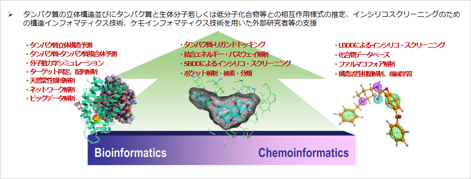 BINDSにおける研究支援の概要図:タンパク質の立体構造並びにタンパク質と生体分子若しくは低分子化合物等との相互作用様式の推定、インシリコスクリーニングのための構造インフォマティクス技術、ケモインフォマティクス技術を用いた外部研究者等の支援を行っている