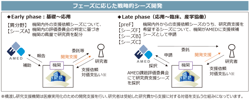 フェーズに応じた戦略的シーズ開発概要図